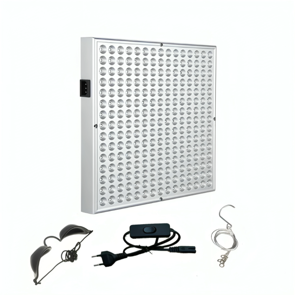 Red Light Recovery Lamp