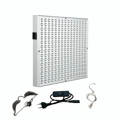 Red Light Recovery Lamp